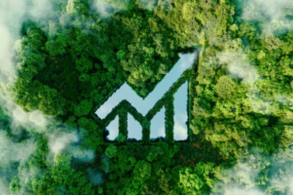 全红婵用筷子吃牛排被嘲,不说英语遭质疑,别给她的直率添堵